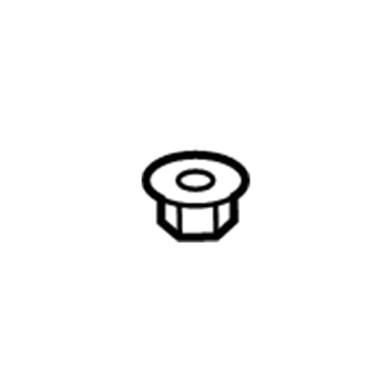 GM 11570720 Hinge Nut