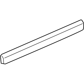 GM 15950342 Body Side Molding