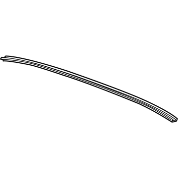 GM 20984878 Weatherstrip Retainer Strip