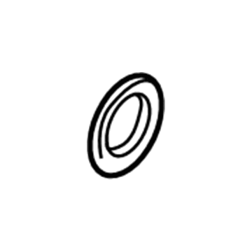 GM 341509 Adjust Nut