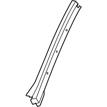 GM 20918020 Side Molding