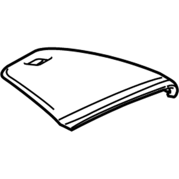 GM 23181847 Cluster Visor
