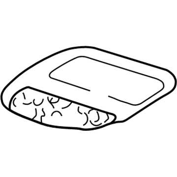 GM 10232337 Lamp Asm-Windshield Header Courtesy & Reading *Graphite