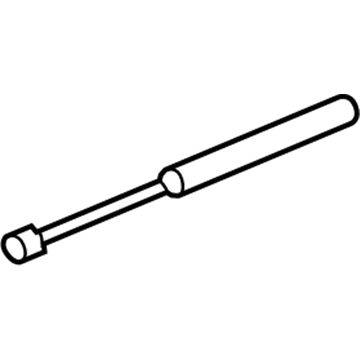 GM 25876306 Assist Cylinder