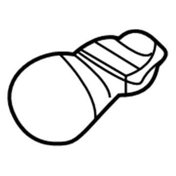 Ford DR3Z-13466-A Park Lamp Bulb