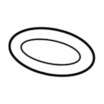 GM 55570021 Exhaust Manifold Seal