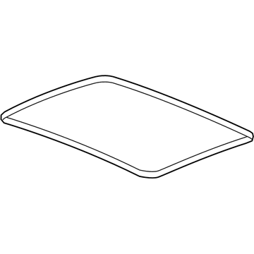 GM 84398130 Inner Weatherstrip