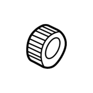 Ford F2DZ-13N019-B Bulb & Retainer Retainer