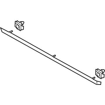 Ford DP5Z-5420878-AA Side Molding