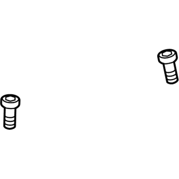 GM 55588188 Oil Feed Tube Bolt