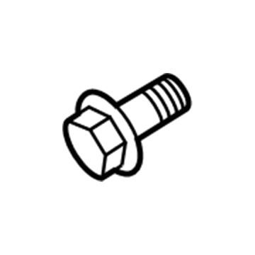 GM 12855066 Oil Inlet Tube Bolt