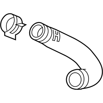 GM 55591980 Outlet Hose