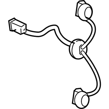 GM 10395344 Socket & Wire