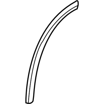 GM 88980853 Weatherstrip, Rear Side Door Auxiliary
