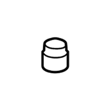 Ford CV6Z-19D702-B Hose & Tube Assembly Cap