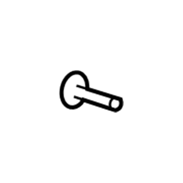 GM 19167566 Resonator Clip