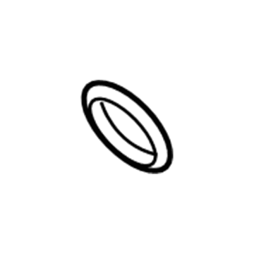 GM 19167567 Resonator Seal