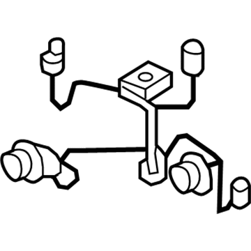 GM 15950809 Socket & Wire