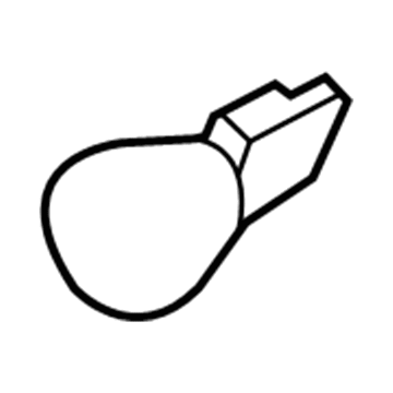 Ford F5DZ-13466-C Taillamp Bulb