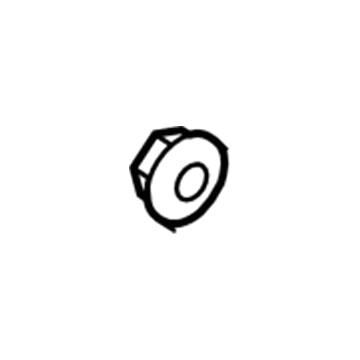 GM 90576769 Knuckle Nut