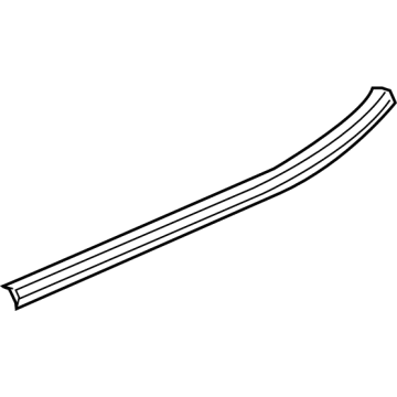GM 84842450 Belt Molding