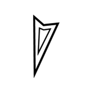 GM 92205700 Emblem