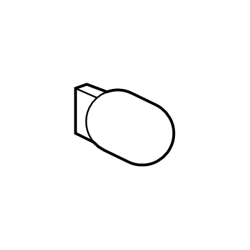 GM 13596817 Parking/Turn Lamp Bulb