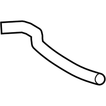 GM 23436684 Lower Hose
