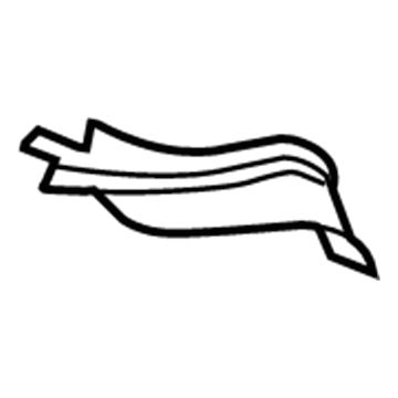 GM 20848097 Upper Extension