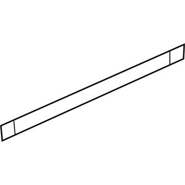 GM 22763944 Side Molding