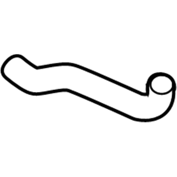 Acura 19505-RWC-A00 Hose, Water (Lower)