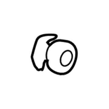 GM 11561145 Cargo Net Nut