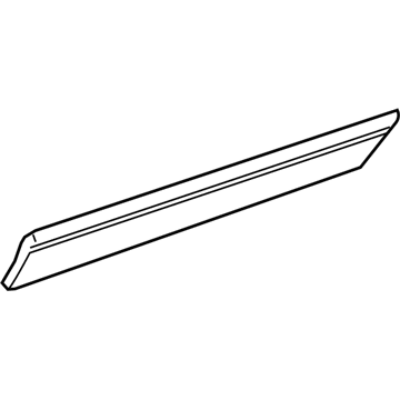 GM 19179467 Side Molding