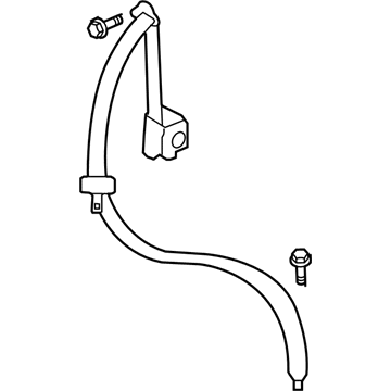 GM 19355564 Outer Belt Assembly