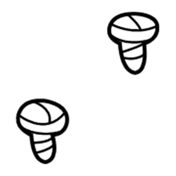 GM 12337991 Applique Bolt