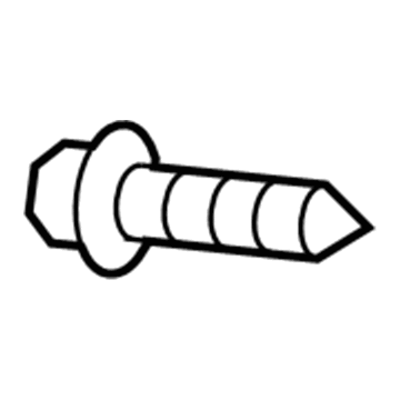 GM 94520258 Trim Molding Screw