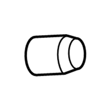 GM 25976357 Tire Sensor Nut