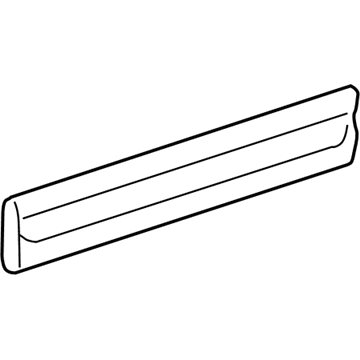 GM 88979829 Body Side Molding
