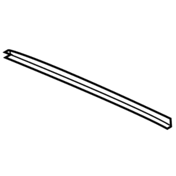 Ford DT1Z-9929796-F Rear Molding