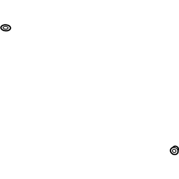 GM 13418807 AC Hose Seal