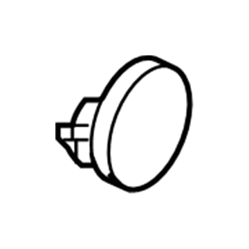 GM 15124080 Fuel Door