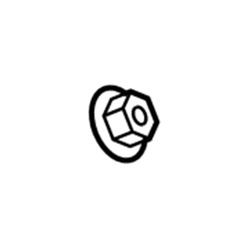 GM 11516076 Check Valve Nut