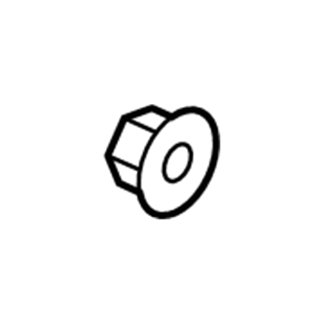 GM 11562472 Molding Nut