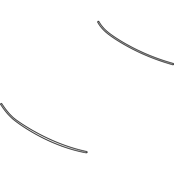 Lexus 56119-0E040 Seal, Windshield Glass