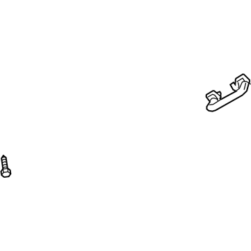 GM 42541401 Grip Handle