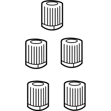 Mopar 68058768AA Cap Kit-Valve Stem