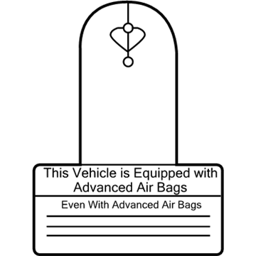 BMW 71-21-6-949-923 Instruction Notice, Airbag