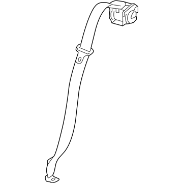 GM 19169208 Outer Belt Assembly