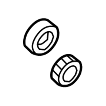 Mopar 5072496AA Bearing Kit-Differential Side