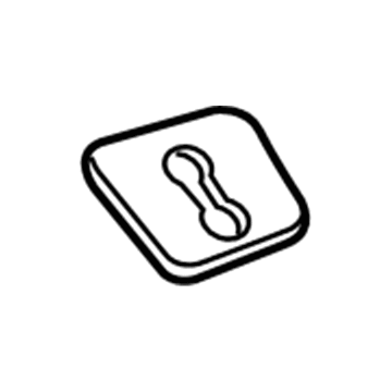 GM 13487501 Striker Cover